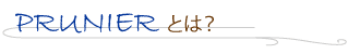 フレンチレストランプルニエとは？